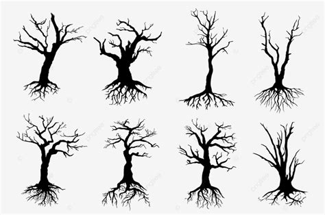 Dead Trees Silhouette Transparent Background Dead Trees Isolated