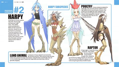 Harpy Subspecies End Card Modified Monster Musume Daily Life With Monster Girl Know Your