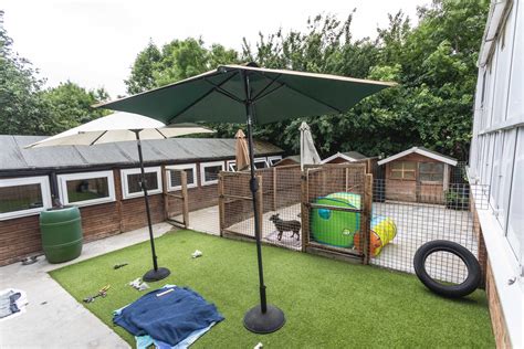 Dog Boarding Kennels Chessington Epsom Star Boarding Kennels And Cattery