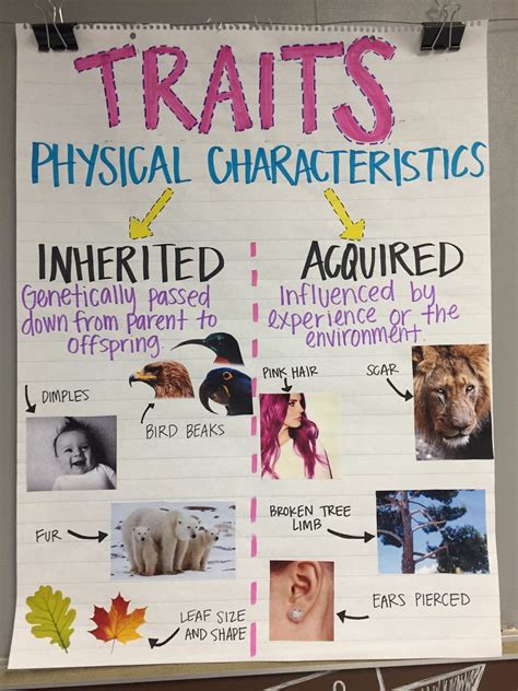 Inherited Traits Worksheets 5th Grade Inherited Traits Behaviors Anchor Chart in 2020 | Science ...
