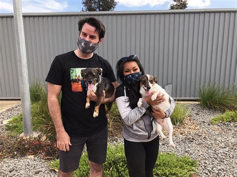 Aussie Pet Owners Finally Reunite With Pets Stranded Overseas