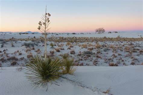 When you photograph somebody against a bright background, you are almost sure to get a silhouette. What is Exposure Compensation and How to Use It