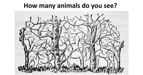 Hidden Animals Picture Puzzle