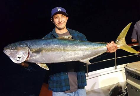 We were so enamored with taco chronicles, directed by carlos perez osorio, that we're likely our call: Party Boat Yellowtail - Fish Taco Chronicles