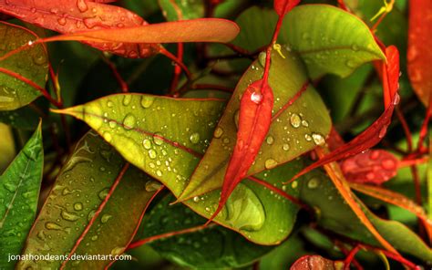 You can also upload and share your favorite photography wallpapers. Download Nature Photography Wallpaper 1440x900 | Wallpoper ...