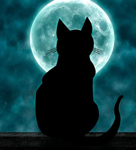 A large collection containing more than 100 black and white images for a boy or girl. Cat Moon | Cat with moon by kuvaajankulma on DeviantArt ...