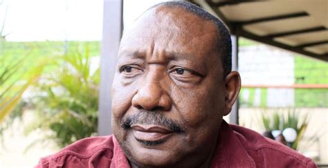 The cabinet is composed of the prime minister, ministers, ministers of state and other members the cabinet implements national policies agreed upon by the president of the republic and the. Late Cabinet Minister Mbiyu Koinange's Son Dies in Road Accident | Samrack Media