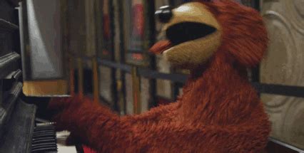 The food is mine now. funny dog gif on Tumblr