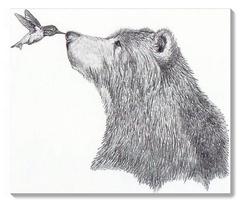 Bear Pencil Sketch At Explore Collection Of Bear