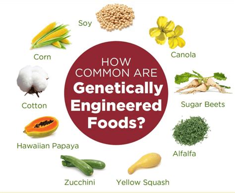 How Genetic Engineering Is Creating More Nutritious Healthier Food And