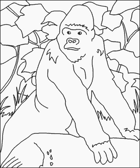 Free printable angry gorilla coloring pages. 4 Best Gorilla Coloring Pages for Kids - Updated 2018