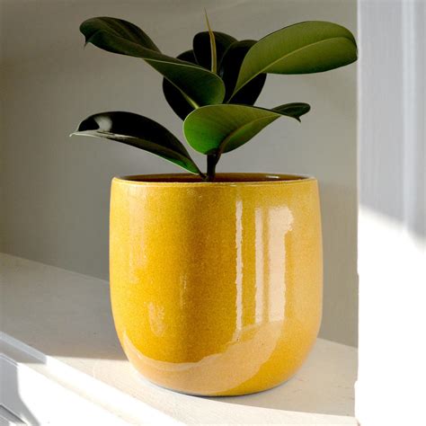 Plaid leaves 18 art planter. Buy Glazed Yellow Honey Plant Pot — The Worm that Turned ...