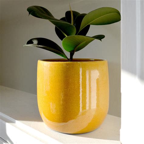 Maybe you would like to learn more about one of these? Buy Glazed Yellow Honey Plant Pot — The Worm that Turned ...
