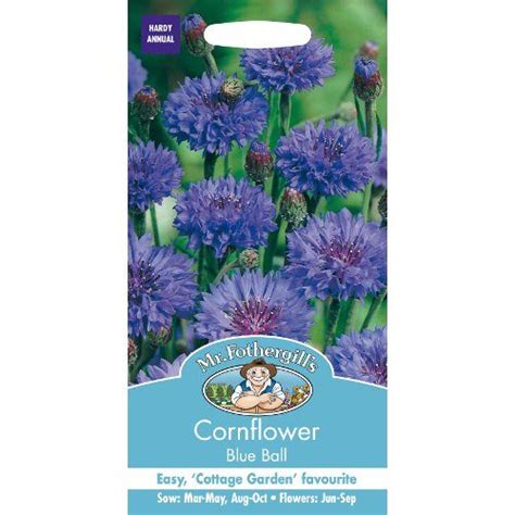 Cornflower Blue Ball Seeds By Mr Fothergills Bridgend Garden Centre