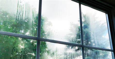 The phone accidentally fell into the water. How do you get moisture out of double pane windows?