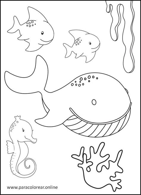 Dibujos De Animales Acuáticos para Colorear Imprimir y Pintar 🐬🐢🐳