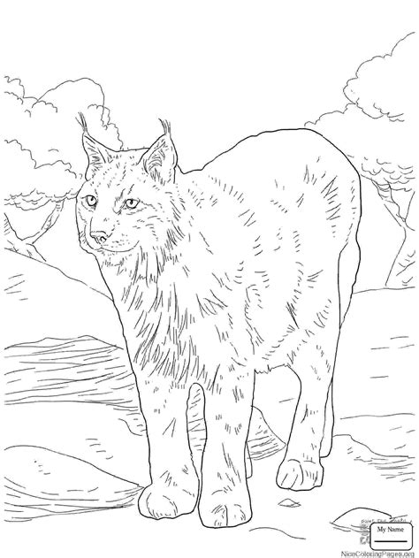 With mazes, coloring pages and word finds. Minnesota Coloring Pages at GetDrawings | Free download