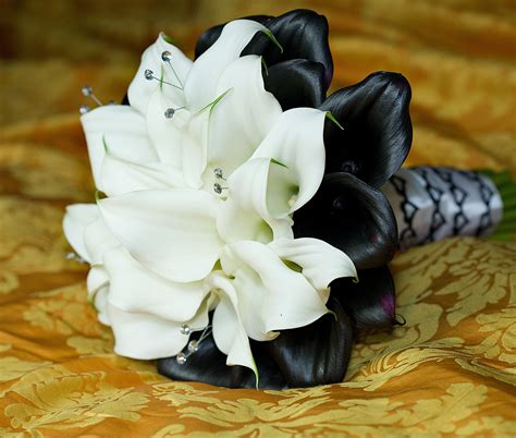 Maybe you would like to learn more about one of these? Black and white calla lily brides bouquet | Calla lily ...