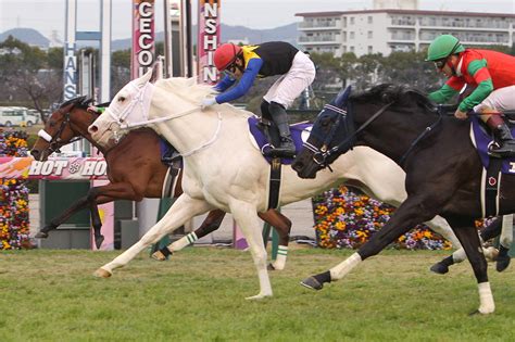 Include (or exclude) self posts. ソダシ 白毛馬史上初のG1制覇で2歳女王に／阪神JF | Moment日刊 ...