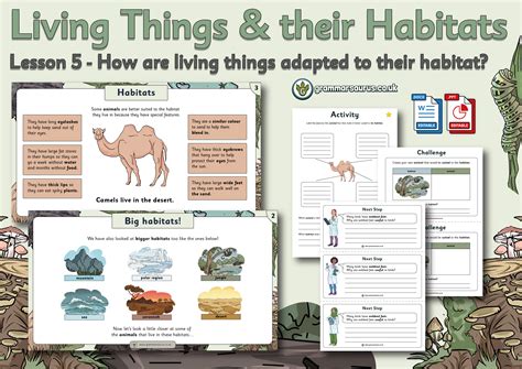 Science Living Things And Their Habitats Year 2 Unit
