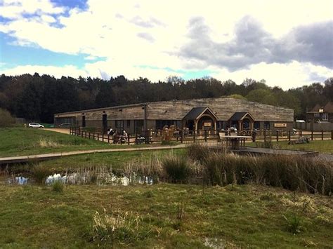 Waters Edge At The Wetlands Park Horsell Woking Surrey Picture Of