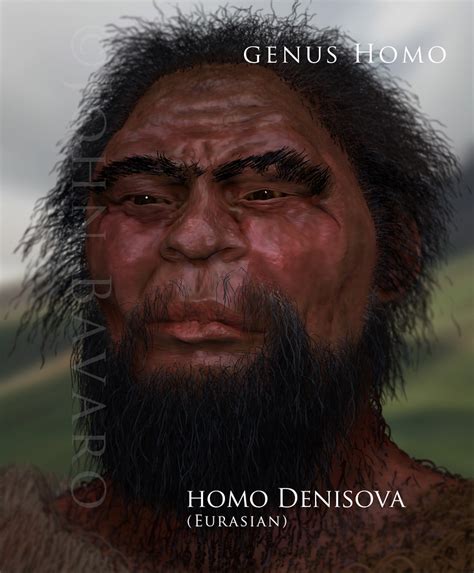 Homo Denisova Eurasian A Photo On Flickriver
