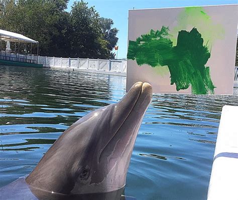 Florida Keys Dolphin Paint Program 800 667 5524