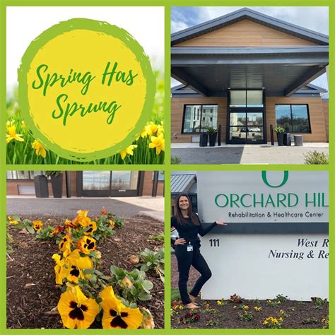 Check spelling or type a new query. Celebrating Spring the Orchard Hill Way! - Orchard Hill ...