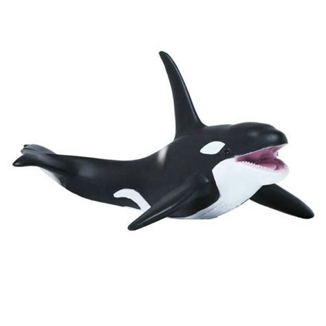 Collecta Orca Killer Whale Animal Kingdoms Toy Store