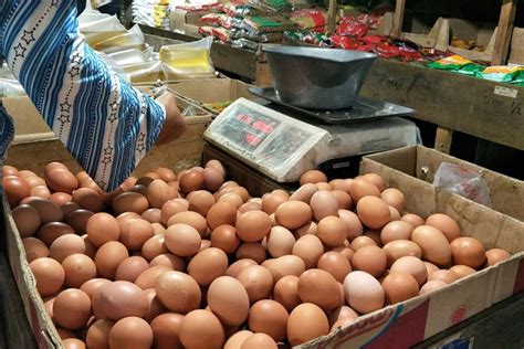 Foto Harga Telur Ayam Meroket Ada Apa Sebenarnya