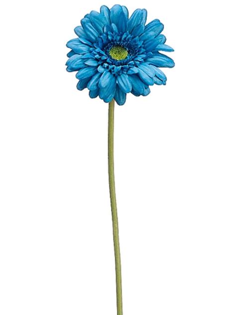 Get crafty with artificial flowers. Items similar to Artificial Turquoise Gerbera Daisy 4 ...