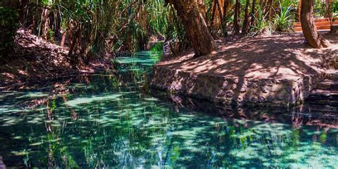 Katherine Hot Springs Natural Thermal Pool In Northern Australia