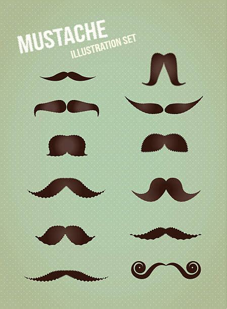 Handlebar Mustache Drawing Illustrations Royalty Free Vector Graphics