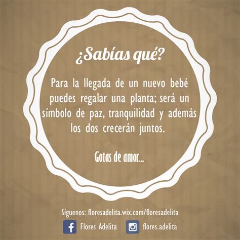 Ganas de llorar 17 significado: #SabíasQué‬ para un #Nacimiento‬ puedes regalar una planta ...