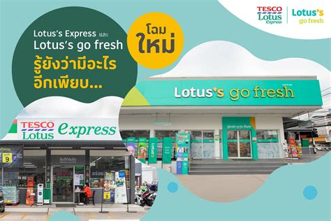 Thailand How Is Lotuss Go Fresh Different From Tesco Express