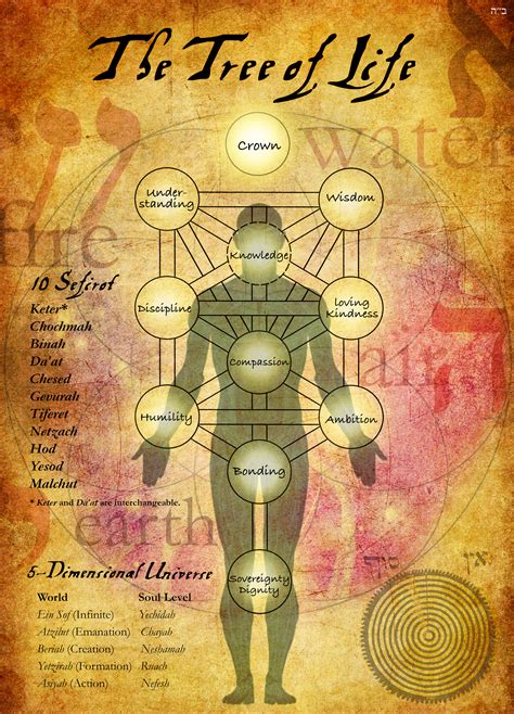 Siasat is an indian urdu language newspaper from the south indian city of hyderabad, nizam telangana. Your Soul Map - The Tree of Life According to Kabbalah