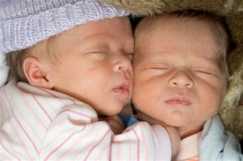War Between The Sexes Begins Before Twins Birth Researchers Say Sciencedaily