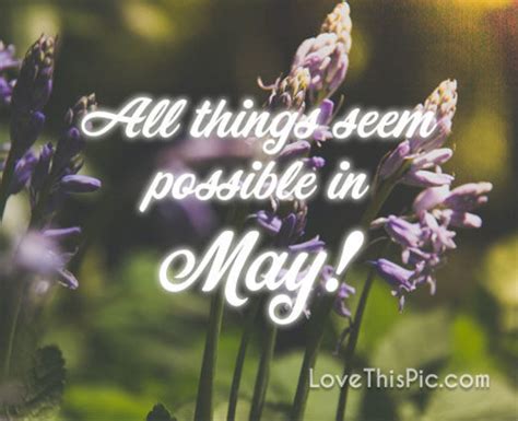 10 Hello May Messages Quotes And Greetings