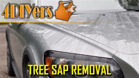 4 Ways On How To Remove Tree Sap From Your Vehicle Remove Tree Sap