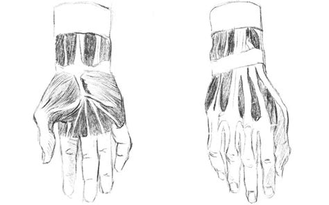 How To Draw Hands Beginner Advanced Hand Drawing Tips