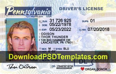 Pennsylvania Driver License Template Psd New Pa Dl With Blank Drivers