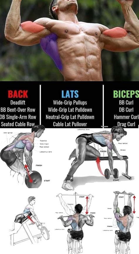 Simple Lower Back Workouts With Weights For Build Muscle Fitness And