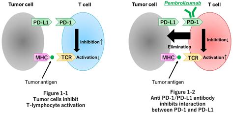 Pembrolizumab For First Line Treatment Of Advanced Unresectable Or