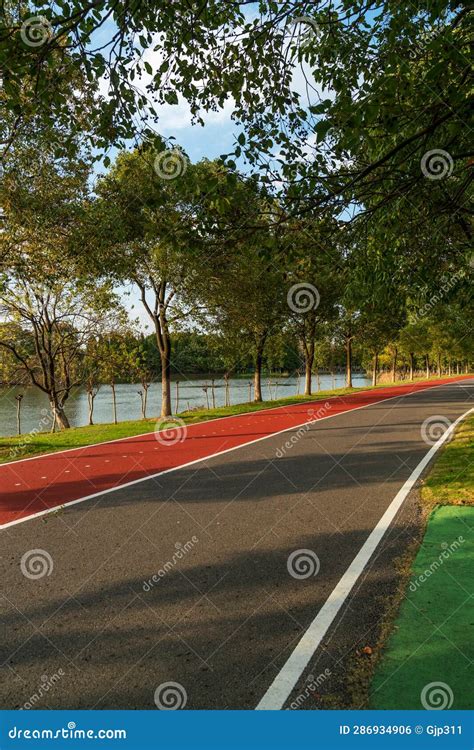 New Pathway And Beautiful Trees Track For Running Or Walking And