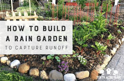 How To Build A Rain Garden To Capture Runoff Tenth Acre Farm