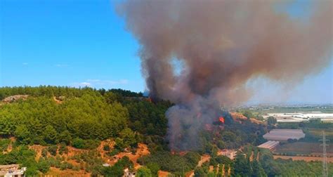 Antalya'nan manavat ilçesinde orman yangını çıktı. Antalya'da antik kent yakınında orman yangını