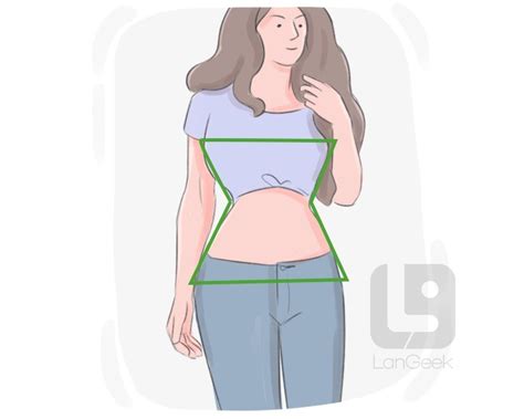 Definition And Meaning Of Hourglass Figure Langeek