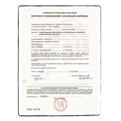 Vous avez une formation de: Certified translation High School Diploma | ACS Onlineshop ...