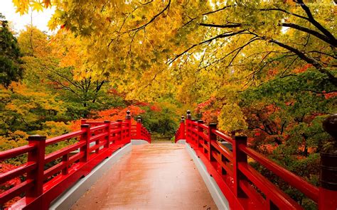 Red Bridge Autumn Autumn Bridge Red Forest Calm Pictures Nature