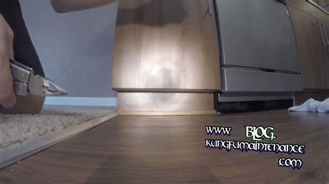 How To Seal Kitchen Cabinets From Mice - Can Mice Open Cabinet Doors? (And How to Prevent Them?)